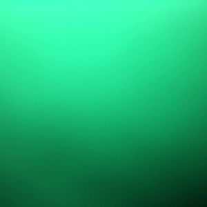 Meet your Posher, Jayden